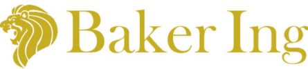 BakerIng-Logo-BakerIng-Logo